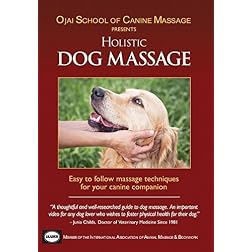 Therapeutic Holistic Dog Massage