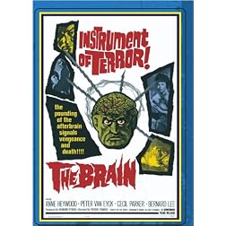THE BRAIN