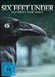 Six Feet Under - Staffel 4 (5 DVDs)
