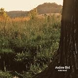 Noble Beast by Andrew Bird
