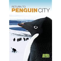 Return To Penguin City