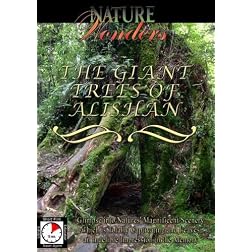 Nature Wonders THE GIANT TREES OF ALISHAN