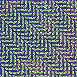 Merriweather Post Pavilion by Animal Collective