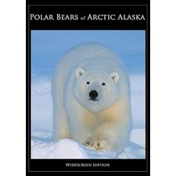 Polar Bears of Arctic Alaska