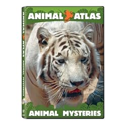 Animal Atlas: Animal Mysteries