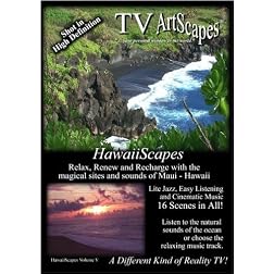 TV ArtScapes   -  HawaiiScapes    Vol V