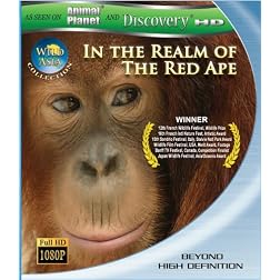 Wild Asia 1: In the Realm Of The Red Ape [Blu-ray]