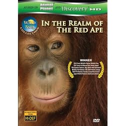 Wild Asia 1: In the Realm Of The Red Ape