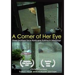 A Corner of Her Eye: Katrina's flood vs. three brothers