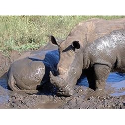 South Africa Adventures