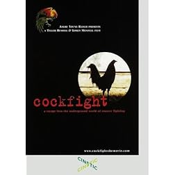 Cockfight