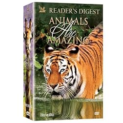 Animals Are Amazing (6pc) (Slim)