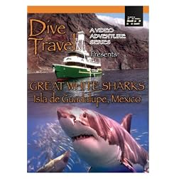 Dive Travel  Great White Sharks Isla de Guadalupe, Mexico