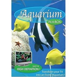 Aquarium In A Box