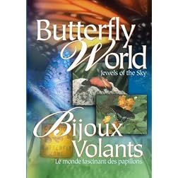 Butterfly World Jewels Of The Sky