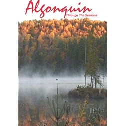 Algonquin Through The Seasons