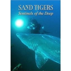 Sand Tigers - Sentinels of the Deep