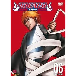 Vol. 6-Bleach