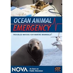 Ocean Animal Emergency
