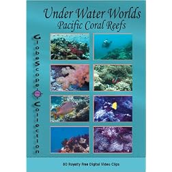 The Globescope Collection  Pacific Coral Reefs Royalty Free Stock Footage