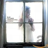 Approaching Normal by Blue October