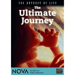 The Ultimate Journey