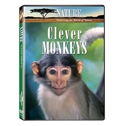 Nature:Clever Monkeys