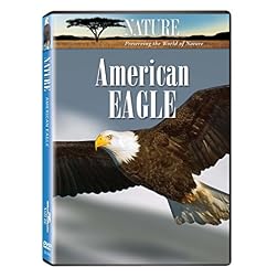 Nature:American Eagle