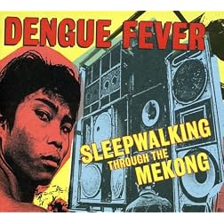 Sleepwalking Through the Mekong