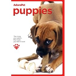 Adorapet Puppies