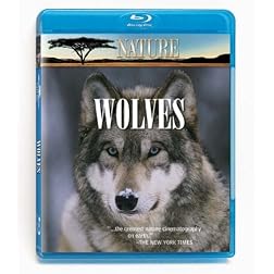 Nature: In the Valley of the Wolves/Christmas in Yellowstone [Blu-ray]