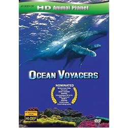 Ocean Voyager