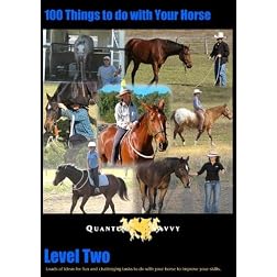 100 Things to do with your horse! Level 2