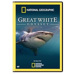 Great White Odyssey