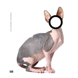 Hairless Sphynx Cat  [Probably the Most Popular DVD Art Movie 2009]