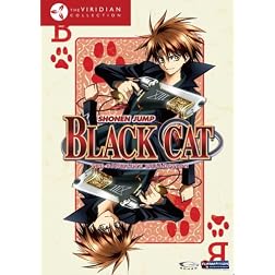 Black Cat Box Set (Viridian Collection)