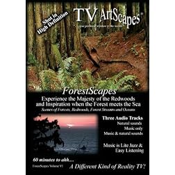 TV ArtScapes - ForestScapes  Volume VI