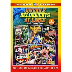 Juvenile Delinquents At Large DVD Collection (High School Big Shot / Lost, Lonely And Vicious / Teenage Wolfpack / High School Caesar / T-Bird Gang / This Rebel Breed) (6-DVD)