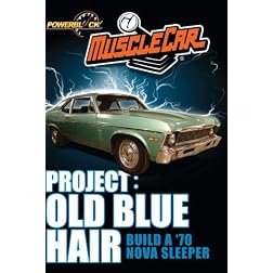 Project: Old Blue Hair