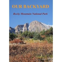 OUR BACKYARD