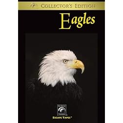 Eagles