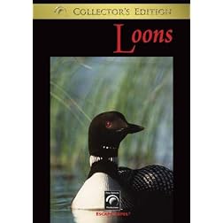 Loons