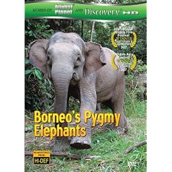 Borneo's Pygmy Elephants (As seen on Discover HD)