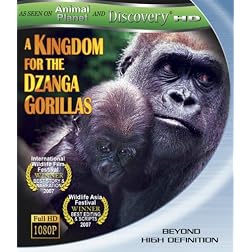 A Kingdom for the Dzanga Gorillas [Blu-ray]