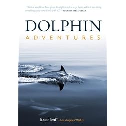Dolphin Adventures