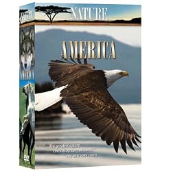 Nature: America (6pc)
