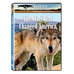 Nature: The Wolf That Changed America