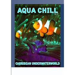 Aqua Chill - Carribean Underwaterworld Vol. 1