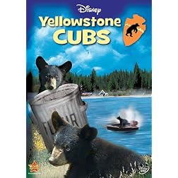 Yellowstone Cubs