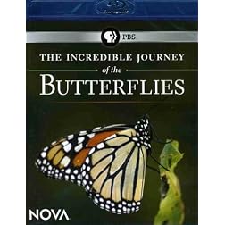 NOVA: The Incredible Journey of the Butterflies [Blu-ray]